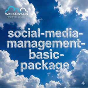 Social Media Management – Basic Package