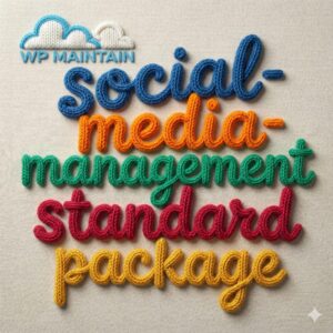 Social Media Management – Standard Package