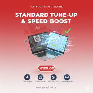 Standard Tune-Up & Speed Boost